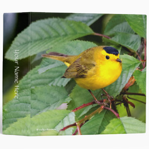 Cute Wilson's Warbler Songbird in the Cherry Tree Binder