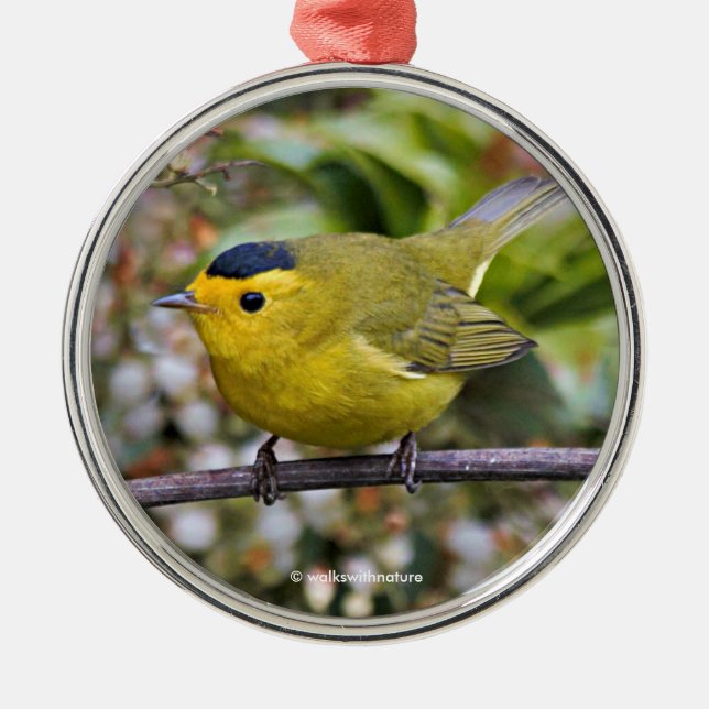 Cute Wilson's Warbler Songbird on the Grapevine Metal Ornament (Front)