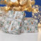 Cute Winter Animals Pattern Christmas 