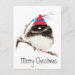 Cute Winter Bird in Hat, Christmas, Humour, Junco Holiday Postcard