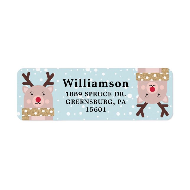 Cute Winter Forest Reindeer Character Illustration (Front)