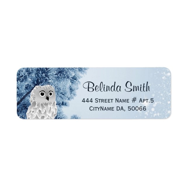 Cute Winter Owl White Blue (Front)