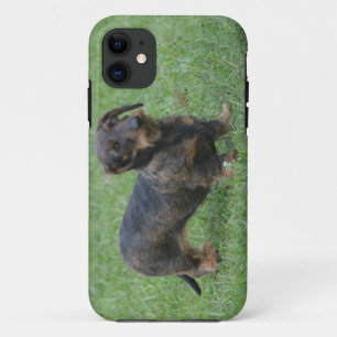 Cute Wire Haired Dachshund iPhone 11 Case