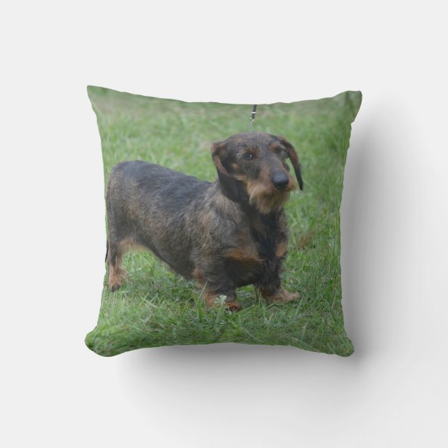 Cute Wire Haired Dachshund Throw Pillow (Front)