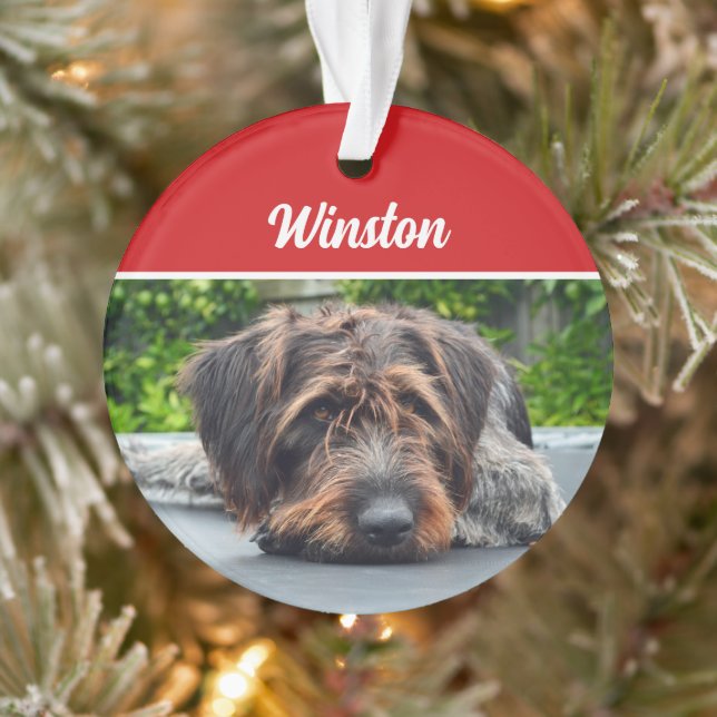 Cute Wirehair Pointer Dog Holiday Christmas Photo Ornament (Tree)