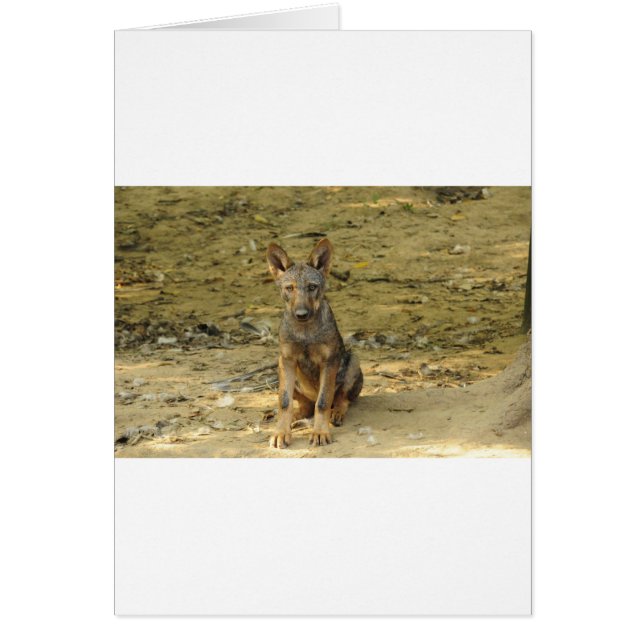 Cute Wolf Cub (Front)