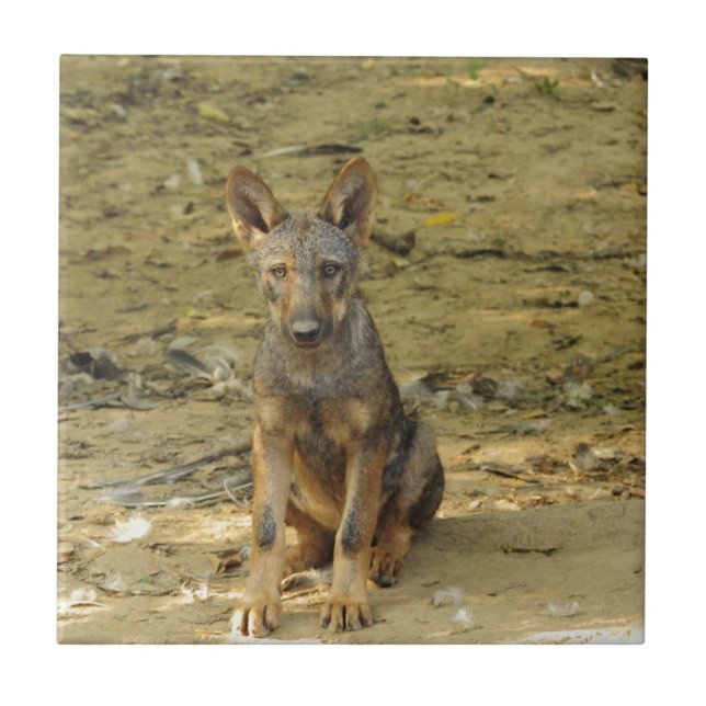 Cute Wolf Cub Tile (Front)