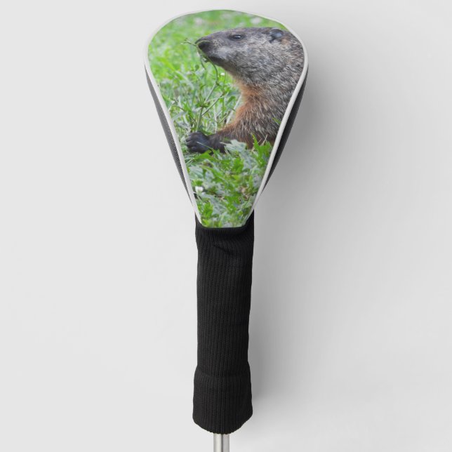 Cute Woodchuck in the grass Golf Head Cover (Front)