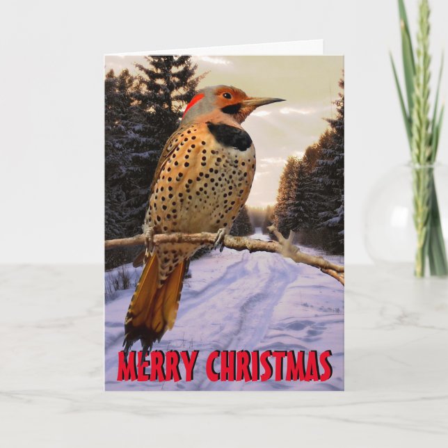 Cute woodpecker Christmas Card (Front)