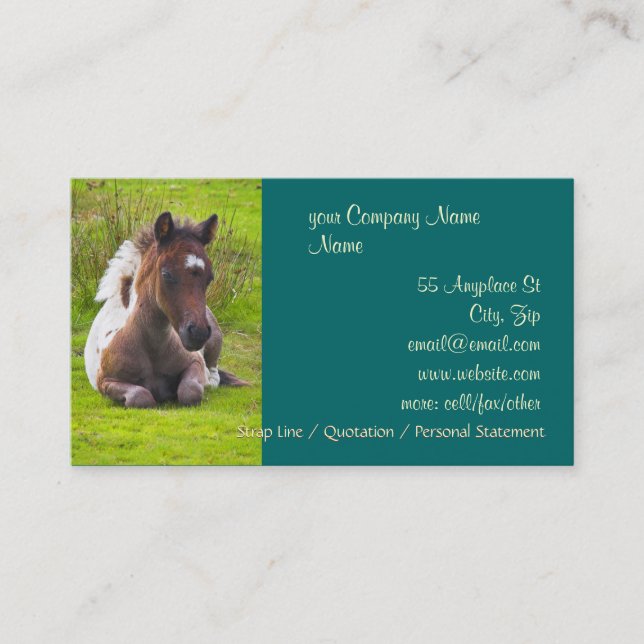 Cute Yearling Foal business cards (Front)