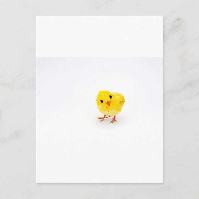 Cute yellow baby chick postcard (Front)