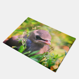 Cute Yellow Cedar Waxwing Fledgling Bird  Doormat