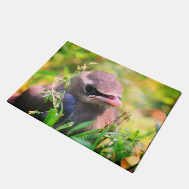 Cute Yellow Cedar Waxwing Fledgling Bird  Doormat (Angled)