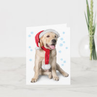 Cute Yellow Lab with Santa Hat Labby Holidays!