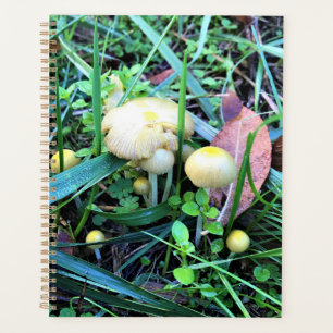 Cute Yellow Mushrooms, Oregon Planner