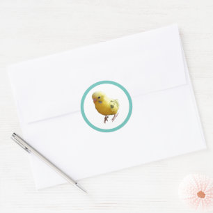 Cute Yellow Parakeet Friendly Pet Bird Photograph Classic Round Sticker