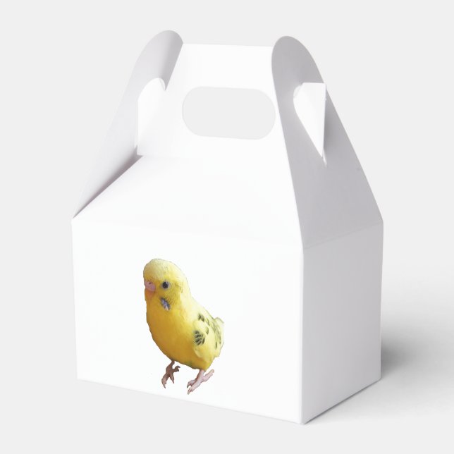 Cute Yellow Parakeet Friendly Pet Bird Photograph Favor Box (Front Side)