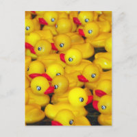 Cute yellow rubber duckies