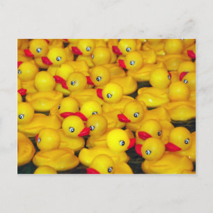 Cute yellow rubber duckies postcard