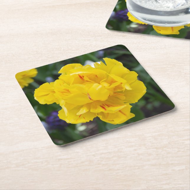 Cute yellow tulips in the garden square paper coaster (Angled)