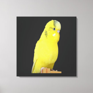 cute yellow wavy canvas print