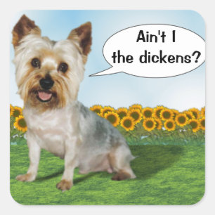 Cute Yorkie Ain't I the Dickens? Square Sticker
