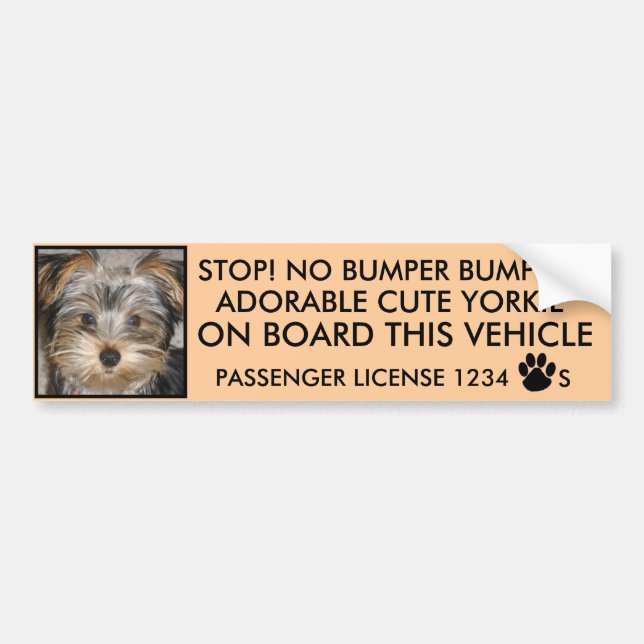 CUTE YORKIE BUMPER STICKER  (NO BUMPER BUMPING) (Front)