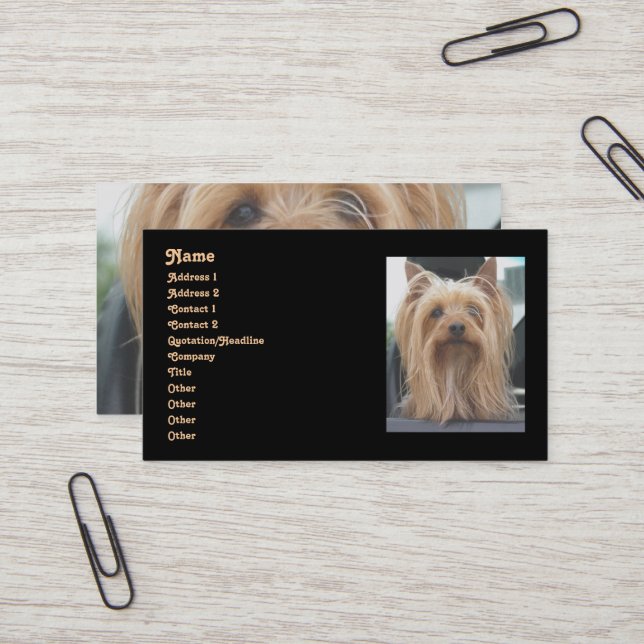 Cute Yorkie Carte de visite (Devant/Arrière en situation)