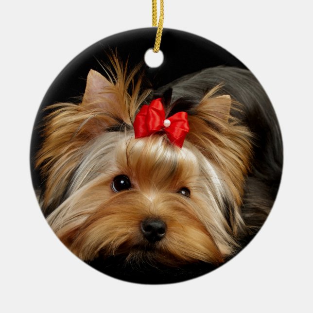 Cute yorkie ceramic ornament (Front)
