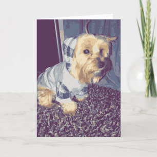 Cute Yorkie Dog Wearing A Plaid Hoodie Puppy Tan Card