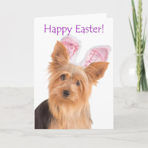 Cute Yorkie Easter Card