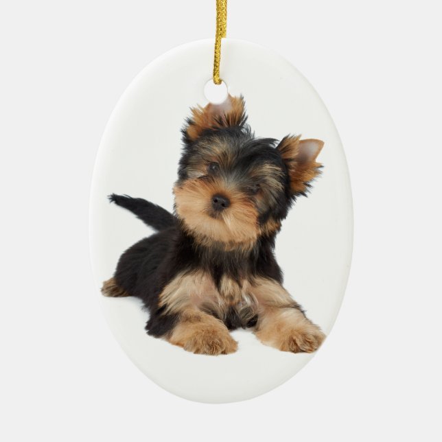 Cute yorkie puppy ceramic ornament (Front)