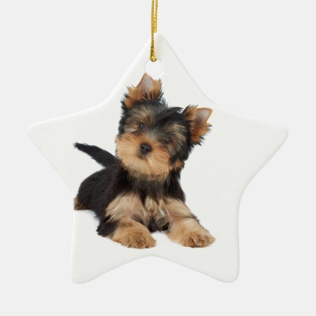 Cute yorkie puppy ceramic ornament (Front)