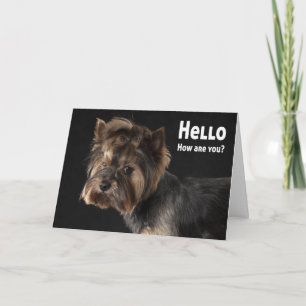 Cute Yorkie Puppy Dog Love Yorkshire Terrier Hello Card