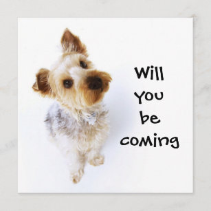 Cute Yorkie Puppy Yorkshire Terrier Party Invitation