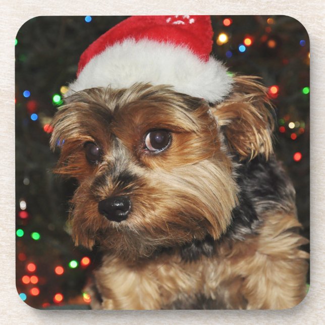 Cute Yorkie with Santa Hat Coaster (Front)