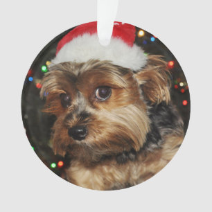 Cute Yorkie with Santa Hat Ornament