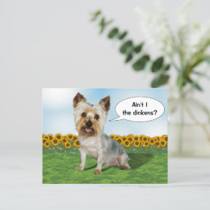 Cute Yorkie with sunflowers Postcard