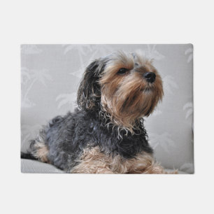 Cute Yorkie Yorkshire Terrier Sunbathing Doormat