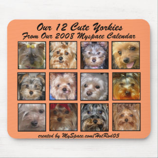 CUTE YORKIES 2008 CALENDAR ( mousepad) APRICOT Mouse Pad