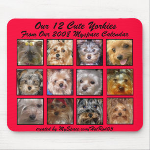 CUTE YORKIES 2008 CALENDAR (on a mousepad) RED Mouse Pad