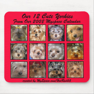 CUTE YORKIES 2008 CALENDAR (on a mousepad) RED Mouse Pad