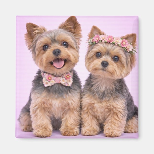 Cute Yorkshire Terrier Couple Valentine Magnet (Front)