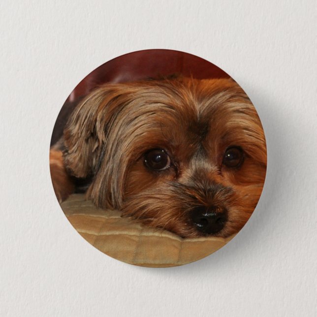Cute Yorkshire Terrier Dog 2 Inch Round Button (Front)