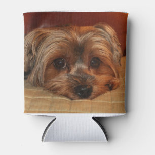 Cute Yorkshire Terrier Dog Can Cooler