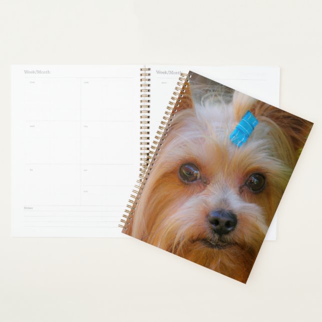 Cute Yorkshire Terrier Dog Head Planner (Display)