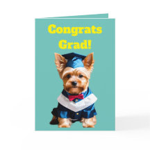 Cute Yorkshire Terrier Graduation