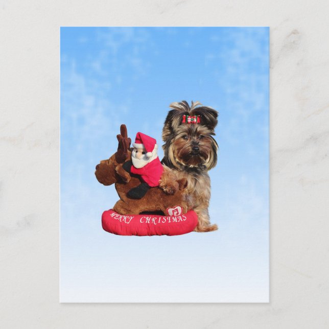 Cute Yorkshire Terrier Merry Christmas Holiday Postcard (Front)
