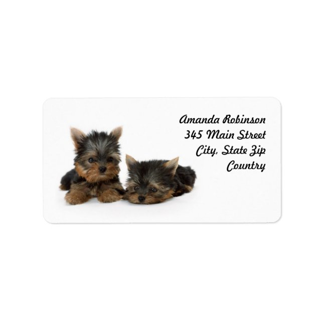 Cute Yorkshire Terrier puppies Label (Front)