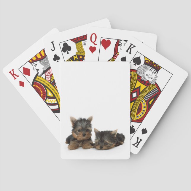 Cute Yorkshire Terrier puppies Playing Cards (Back)